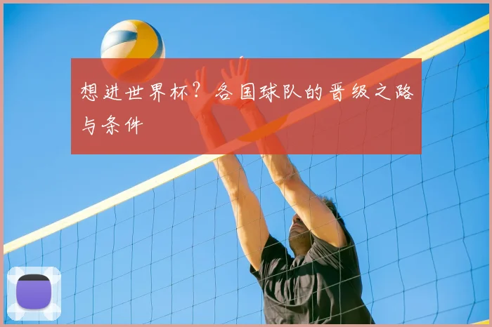 想进世界杯?各国球队的晋级之路与条件