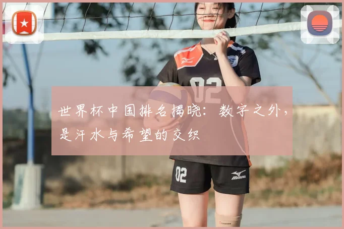 世界杯中国排名揭晓:数字之外,是汗水与希望的交织