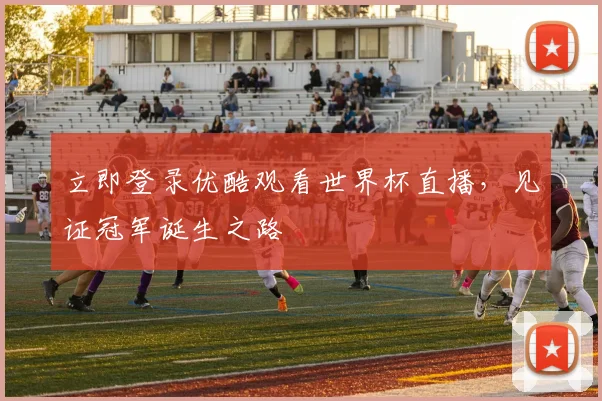 立即登录优酷观看世界杯直播,见证冠军诞生之路