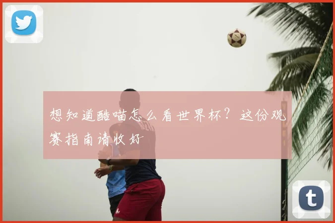 想知道酷喵怎么看世界杯?这份观赛指南请收好