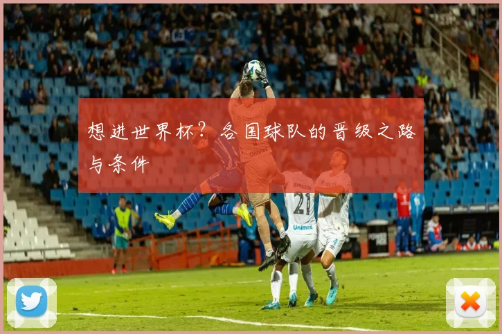 想进世界杯？各国球队的晋级之路与条件