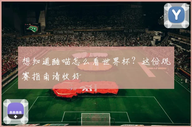 想知道酷喵怎么看世界杯?这份观赛指南请收好