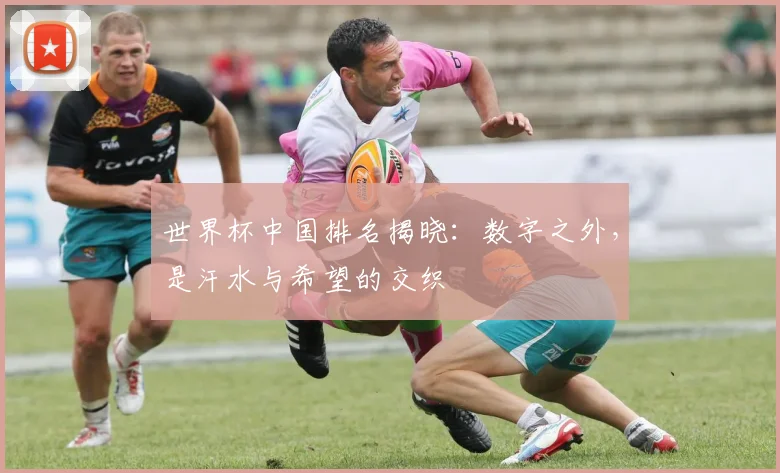 世界杯中国排名揭晓:数字之外,是汗水与希望的交织