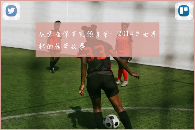 从章鱼保罗到预言帝：2014年世界杯的传奇故事