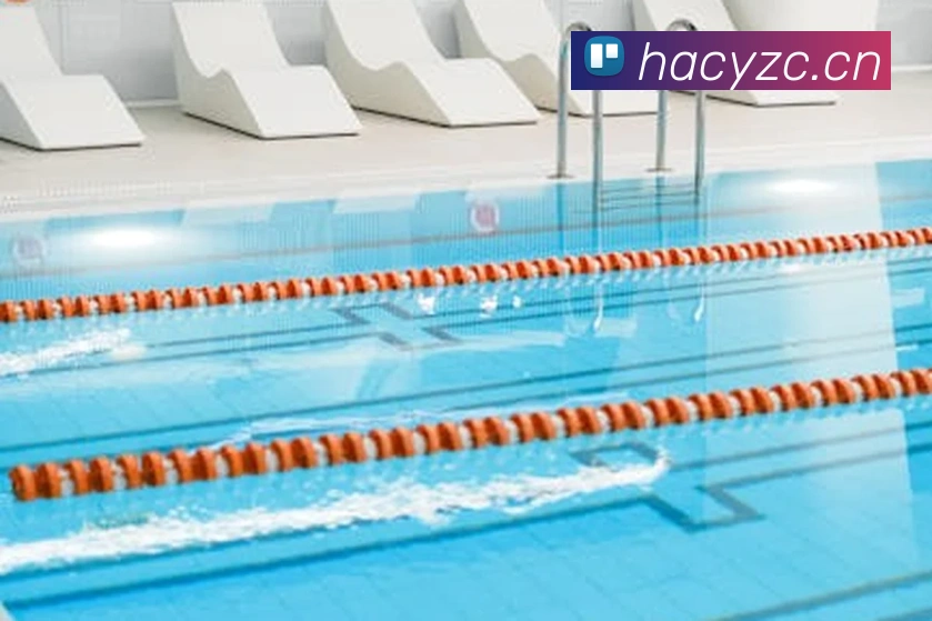 App Interface Preview