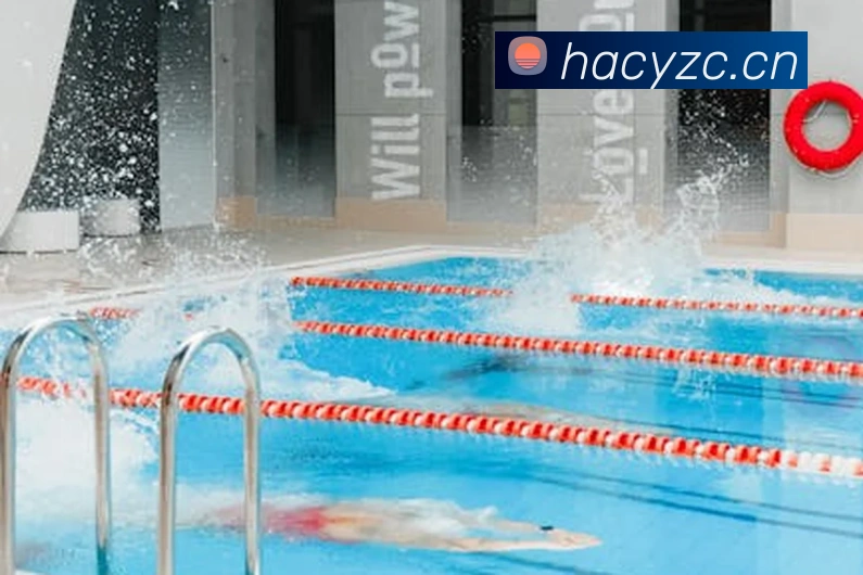 星空体育app官网入口网址APP 封面图